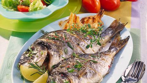 Dorade aus dem Ofen Rezept - Foto: Maass