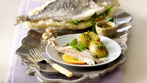 Dorade in der Salzkruste mit Orangen-Mojo Rezept - Foto: House of Food / Bauer Food Experts KG