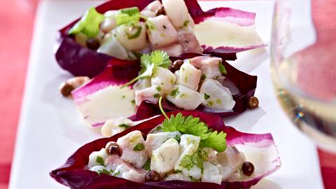 Doraden-Anis-Ceviche Rezept - Foto: House of Food / Bauer Food Experts KG