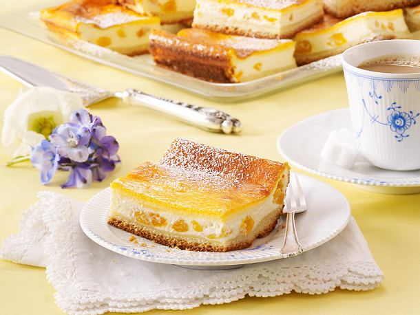 Dresdner Eierschecke mit Aprikosen Rezept
