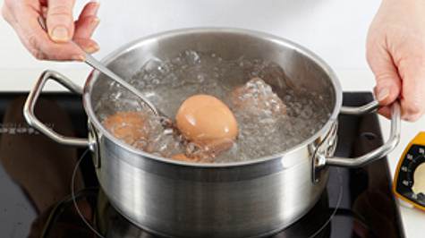 Eier in kochendes Wasser geben - Foto: House of Food / Bauer Food Experts KG