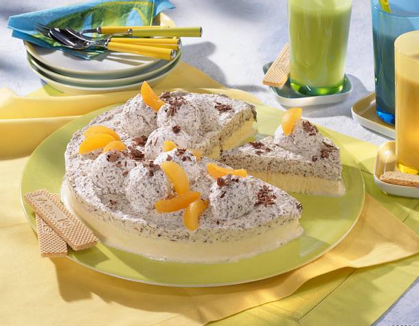 Eistorte mit Aprikosen Rezept