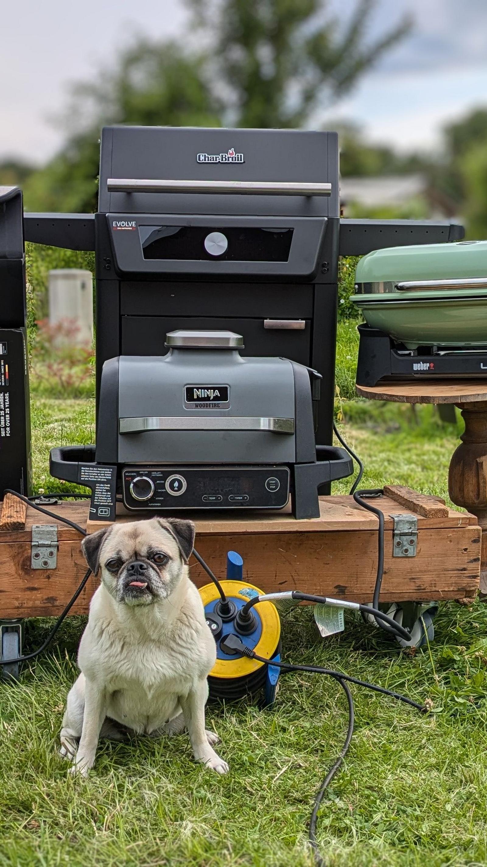 Im Vergleich: Wir testen die besten Elektrogrills