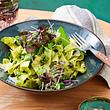 „Energieschub“-Nudeln mit Sprossen-Pesto Rezept - Foto: House of Food / Bauer Food Experts KG