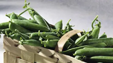 Erbsen