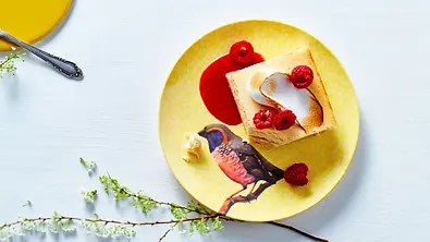 Erfrischender Key Lime Cheesecake Rezept - Foto: LECKER @ Bauer Media Group