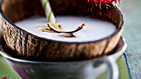 Exotische Drinks: Selbstgemachte Kokosmilch Rezept - Foto: House of Food / Bauer Food Experts KG