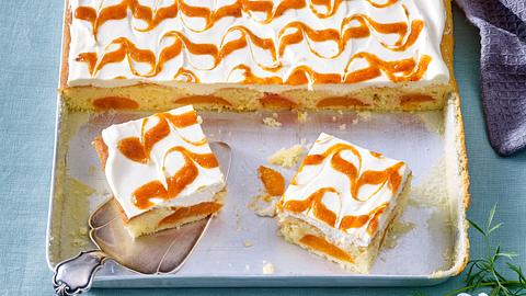 Schmandkuchen mit Aprikosen vom Blech - Foto: House of Food / Bauer Food Experts KG