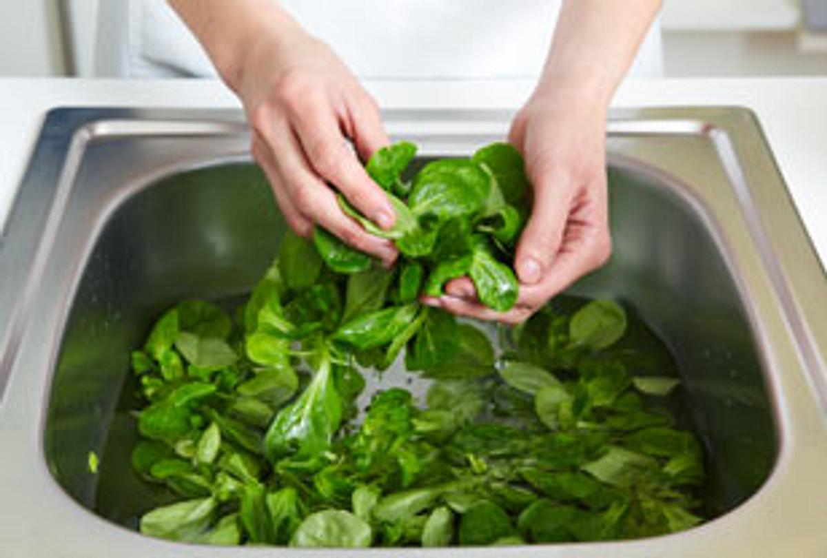 Feldsalat putzen - so einfach geht's - feldsalat_putzen_1