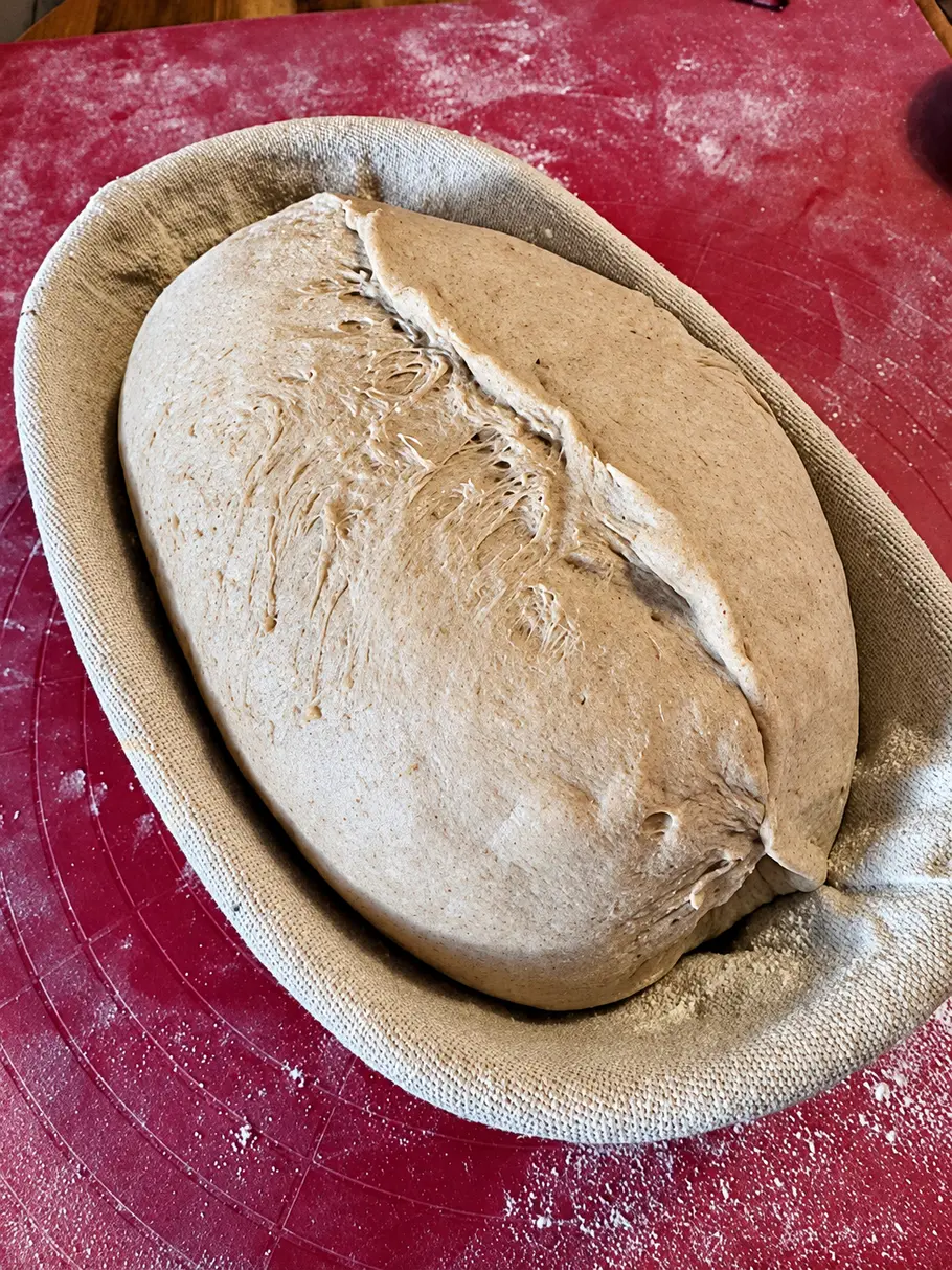 Final Shape Ein länglich eingerissener Brotteig liegt in einem mit Stoff ausgelegten Gärkorb auf einer bemehlten roten Backmatte.