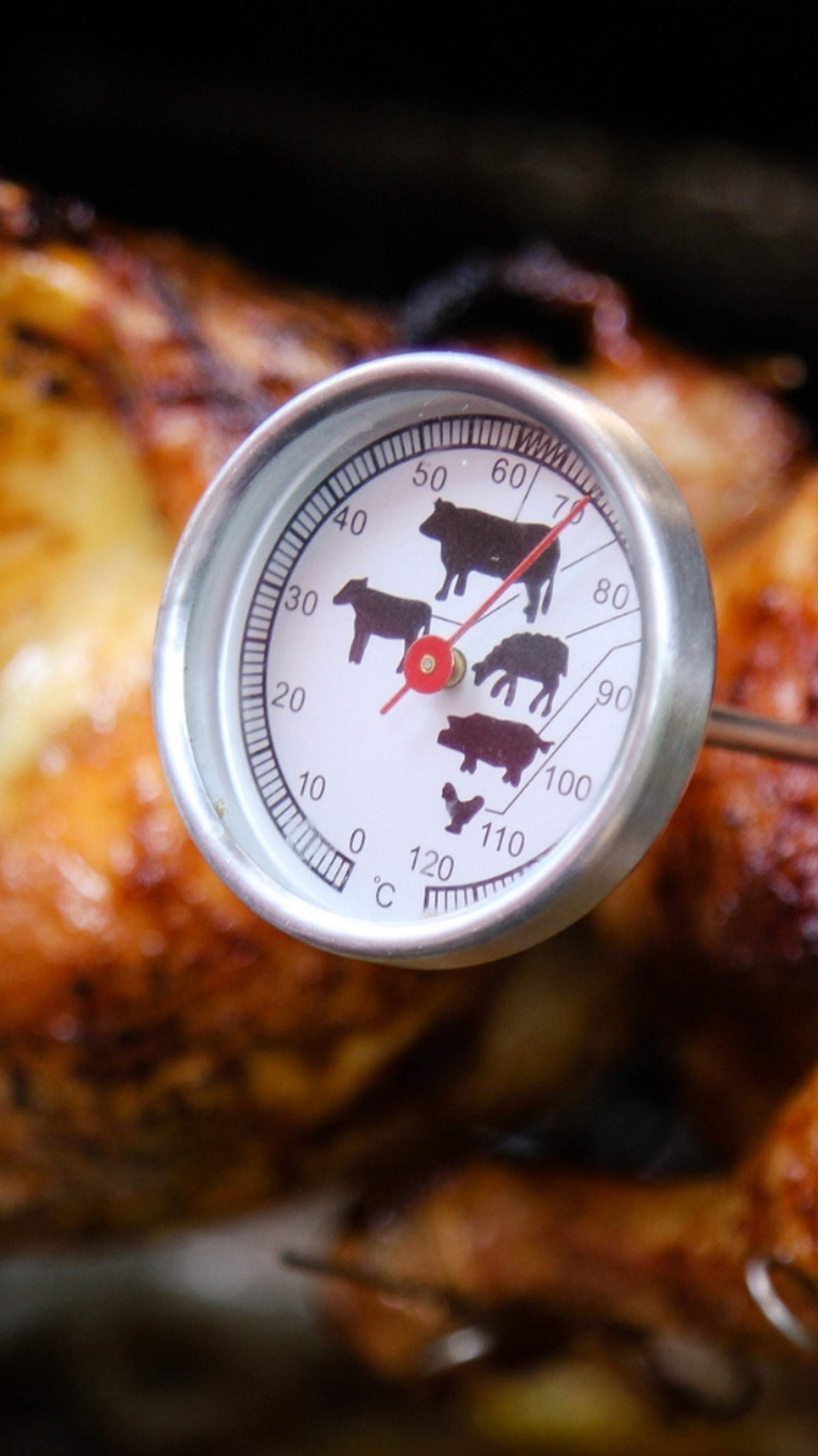 Fleisch-Lebensmittel-Thermometer, digitales Süßigkeiten