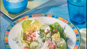 Fleischwurst-Gurkensalat Rezept - Foto: LECKER @ Bauer Media Group