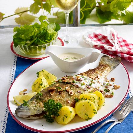 Forelle Müllerin Art mit Rahm-Buttersoße und Petersilienkartoffeln Rezept Forelle Müllerin Art mit Rahm-Buttersoße und Petersilienkartoffeln Rezept