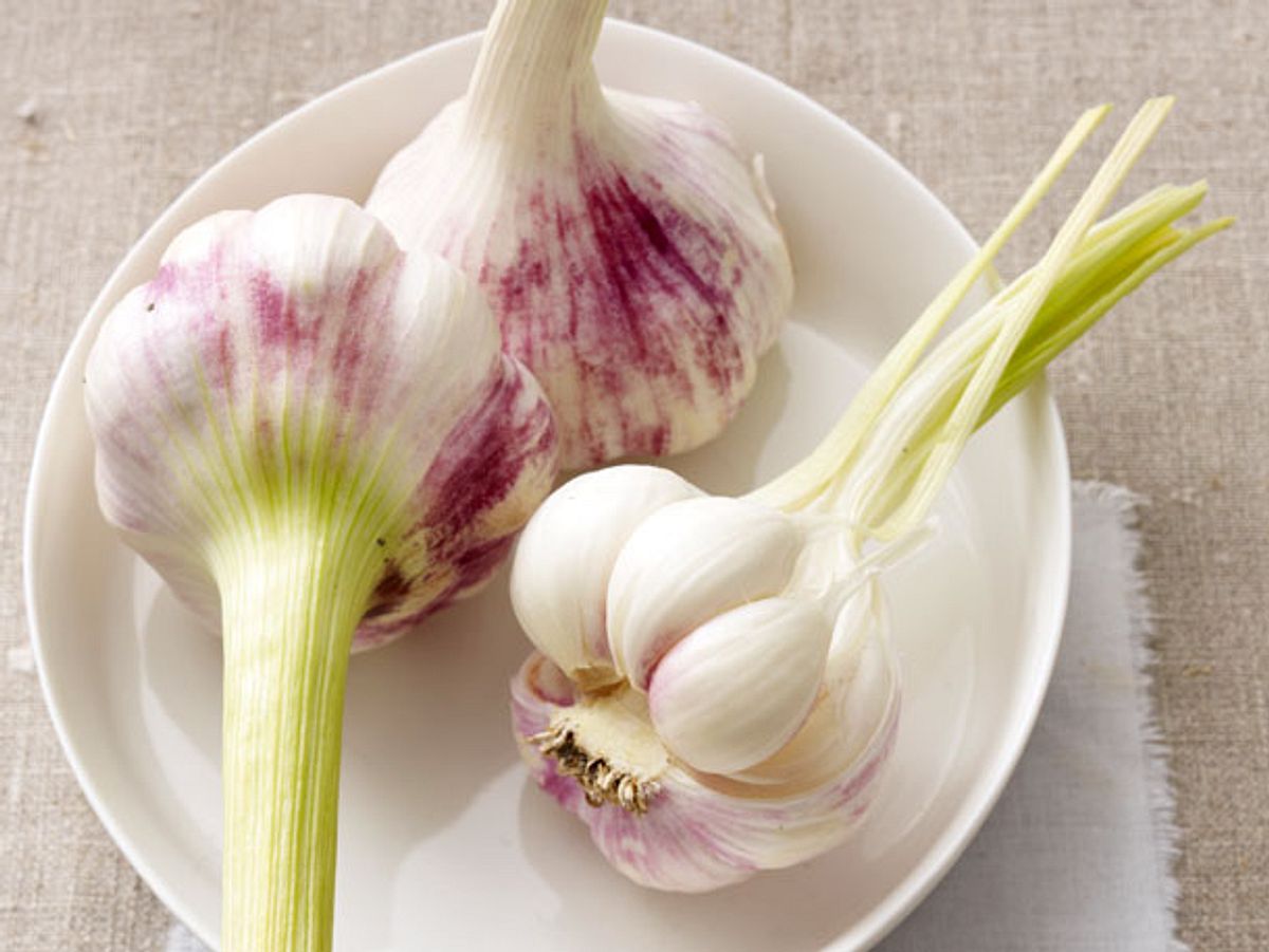 Frischer, junger Knoblauch hat im Frühling Saison.