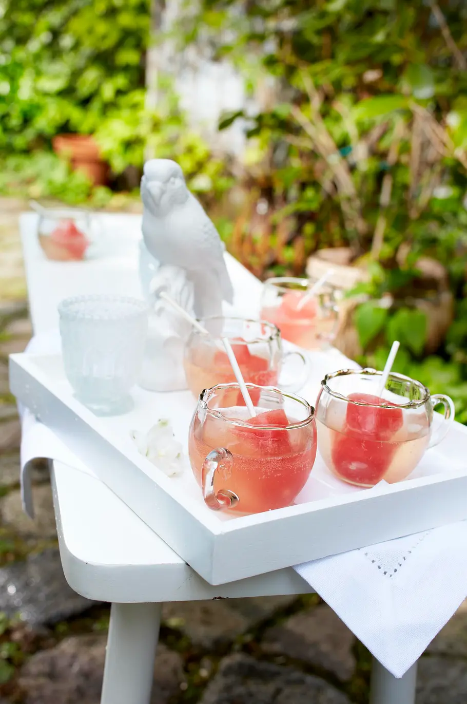Frozen Melonenlollis im Sekt Rezept Frozen Melonenlollis im Sekt Rezept
