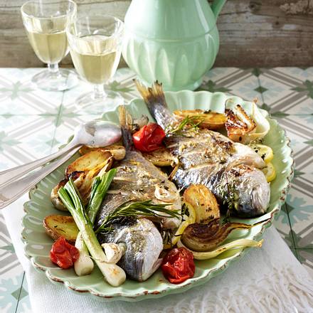 Gebackene Dorade auf Gemüsebett Rezept Gebackene Dorade auf Gemüsebett Rezept
