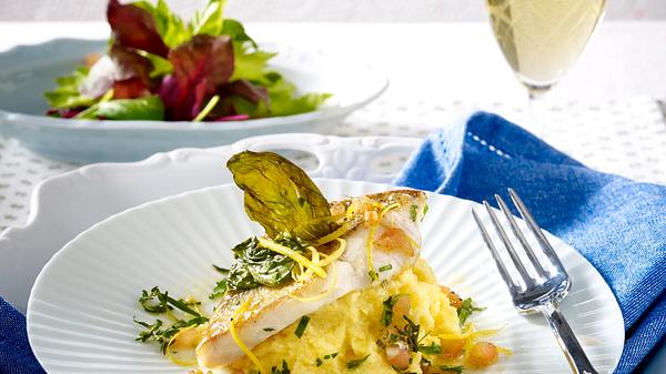 Gebratenes Zanderfilet mit Sauce vierge auf Polenta Rezept - Foto: Fucke, Johannes