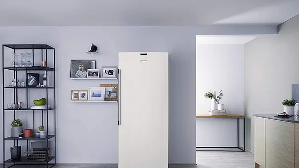 Gefrierschrank groß - Foto: Bauknecht Gefrierschrank groß - Foto: Bauknecht