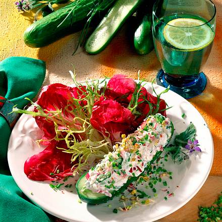 Gefüllte Minigurken mit buntem Zwiebelquark Rezept Gefüllte Minigurken mit buntem Zwiebelquark Rezept