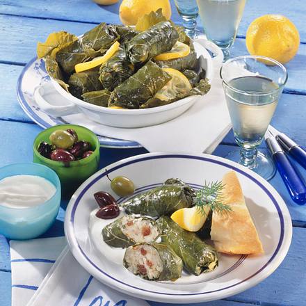 Gefüllte Weinblätter Rezept Gefüllte Weinblätter Rezept
