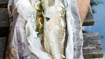 Gegrillter Zander aus dem Zeitungspapier Rezept - Foto: House of Food / Bauer Food Experts KG