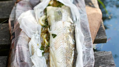 Gegrillter Zander aus dem Zeitungspapier Rezept - Foto: House of Food / Bauer Food Experts KG