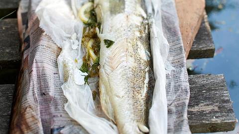 Gegrillter Zander aus dem Zeitungspapier Rezept - Foto: House of Food / Bauer Food Experts KG