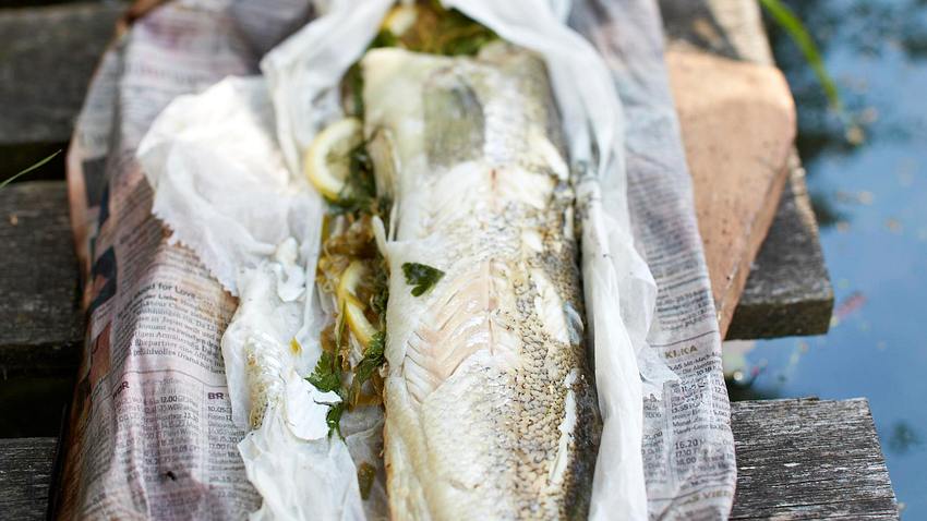 Gegrillter Zander aus dem Zeitungspapier Rezept - Foto: House of Food / Bauer Food Experts KG