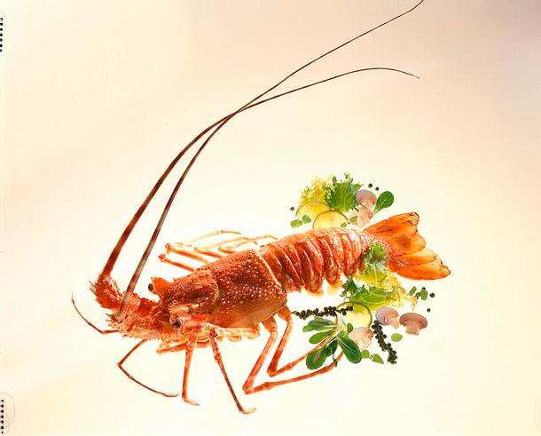 Gekochte Languste Rezept Gekochte Languste Rezept