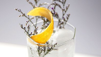 Gin Tonic mit Garnish - Foto: Tastillery