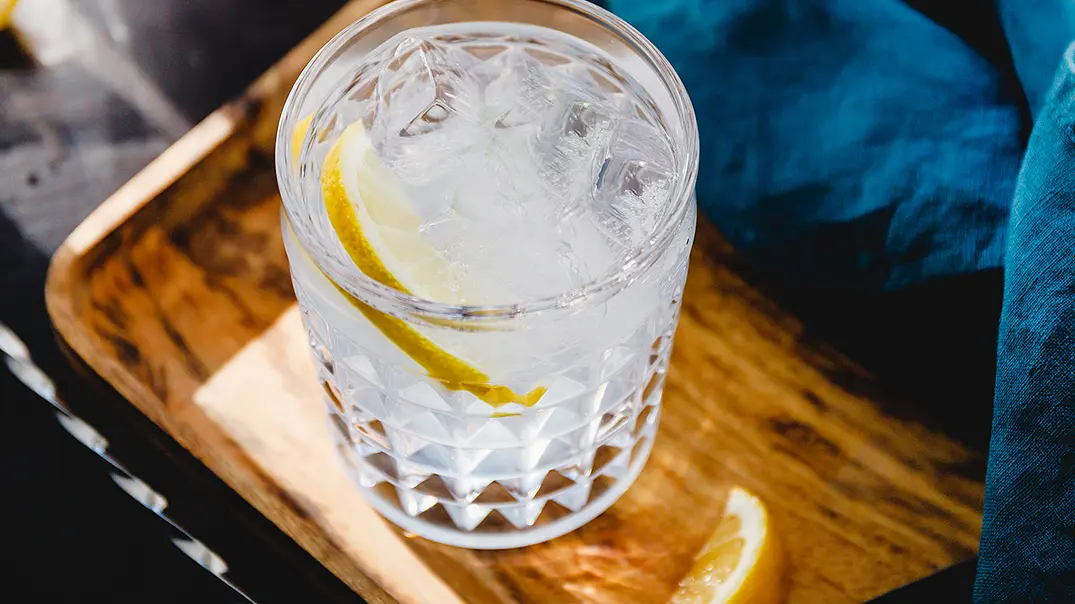 Gin Fizz Rezept - Foto: Edalin / iStock Gin Fizz Rezept - Foto: Edalin / iStock