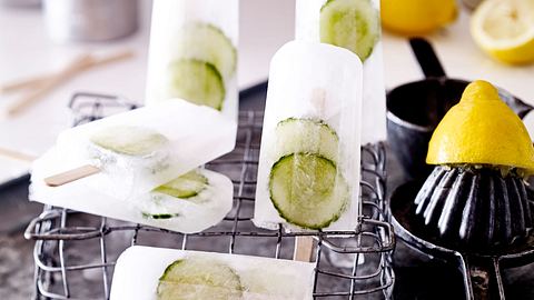 Gin Tonic Eis Rezept - Foto: House of Food / Bauer Food Experts KG