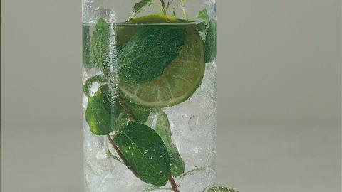 Gin-Tonic mit Minze Rezept - Foto: Klemme