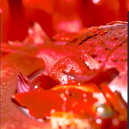 Goldbrasse auf Tomaten und roter Paprika Rezept Goldbrasse auf Tomaten und roter Paprika Rezept