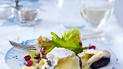 Gratinierte Camembert-Taler Rezept - Foto: House of Food / Bauer Food Experts KG
