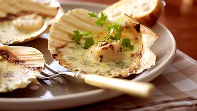 Gratinierte Jakobsmuscheln Rezept - Foto: House of Food / Bauer Food Experts KG