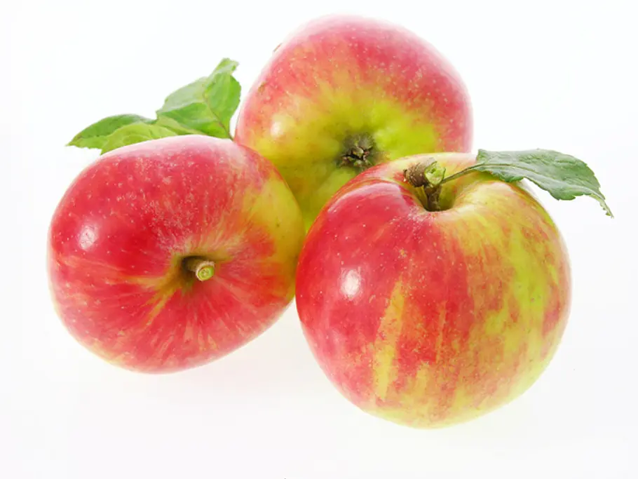 Wellant Apfel mit einem angeschnitten Stück.