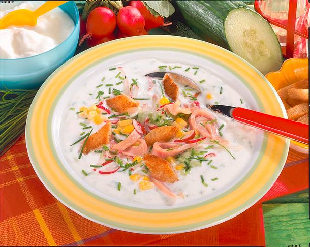 Gurken-Joghurt-Suppe Rezept Gurken-Joghurt-Suppe Rezept