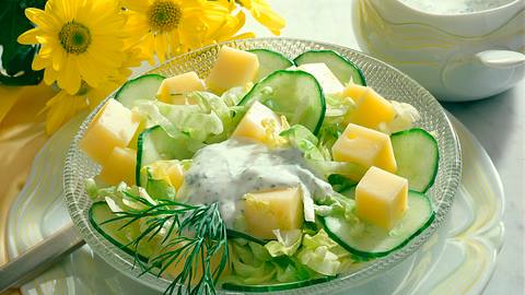 Gurken-Käse-Salat mit Joghurt-Dill-Soße Rezept - Foto: Horn