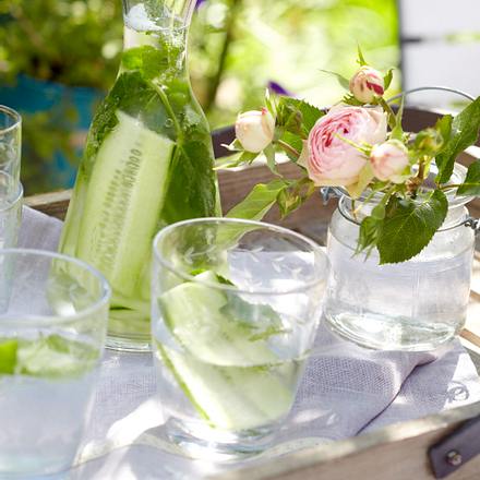 Gurken Minz Drink Rezept Gurken Minz Drink Rezept