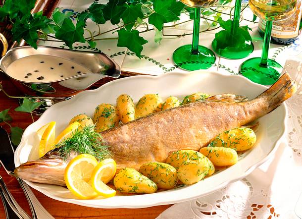 Hecht mit Schmandsoße Rezept Hecht mit Schmandsoße Rezept