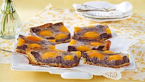 Hefe-Mohnkuchen mit Aprikosen Rezept - Foto: House of Food / Bauer Food Experts KG