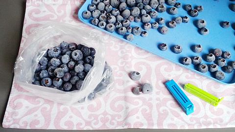 Heidelbeeren einfrieren
