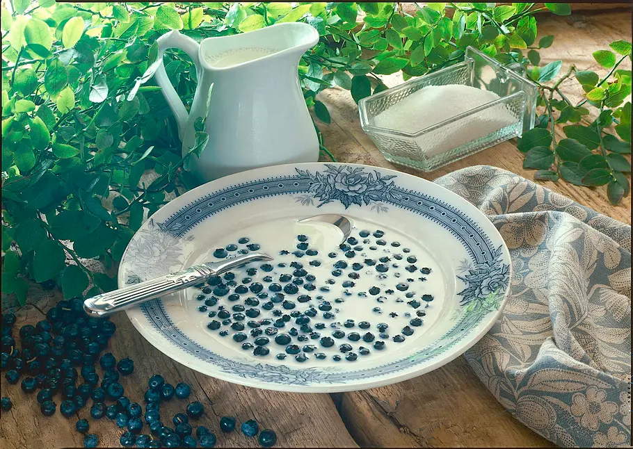 Heidelbeeren mit Milch Rezept