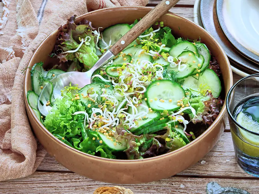 Schwedischer Gurkensalat Schwedischer Gurkensalat mit frischen Gurkenscheiben, Blattsalat und Sprossen in einer braunen Schüssel auf einem Holztisch, daneben zwei Scheiben Knäckebrot, Salzschälchen und ein Glas Wasser mit Zitronenscheibe.