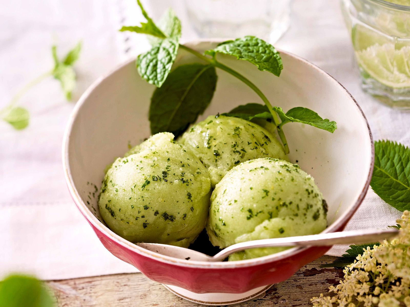 Holunderblüten-Minz-Sorbet Rezept | LECKER