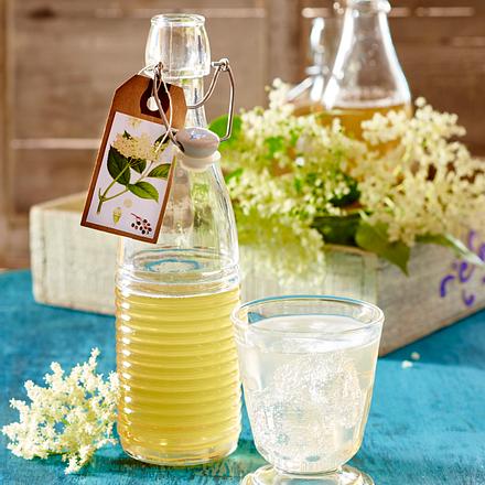 Holunderblüten-Sirup Rezept Holunderblüten-Sirup Rezept