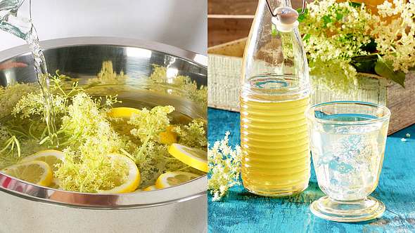 Holunderblütensirup selber machen - Foto: House of Food / Bauer Food Experts KG