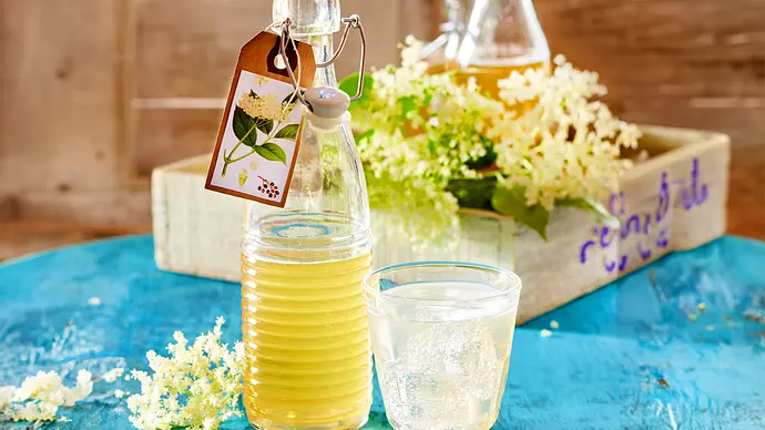 Selbst gemachter Holunderblütensirup in einer Flasche - Foto: LECKER @ Bauer Media Group Selbst gemachter Holunderblütensirup in einer Flasche - Foto: LECKER @ Bauer Media Group