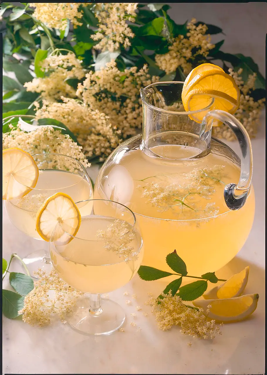 Holunderblütensaft Rezept Holunderblütensaft Rezept